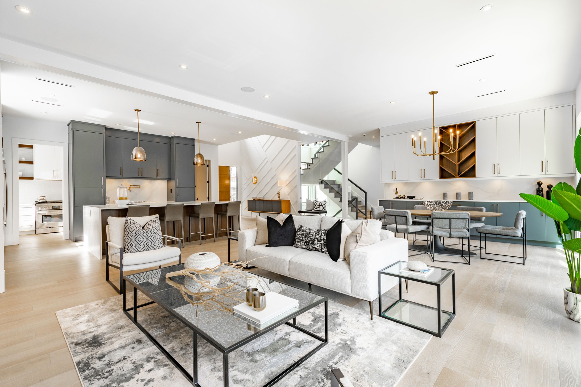 Modern contemporary home interiors living room dining room kitchen  bathroom bedroom office study entry foyer staircase front door hallway. Kitchen interior is spacious and open concept view to living room